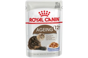 پوچ مخصوص گربه مسن بالای 12 سال - در ژله/ Royal Canin AGEING + 12  in Jelly